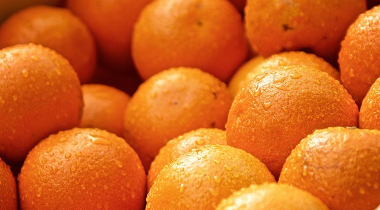 Pomarańczowe logo - to świeżość i energia