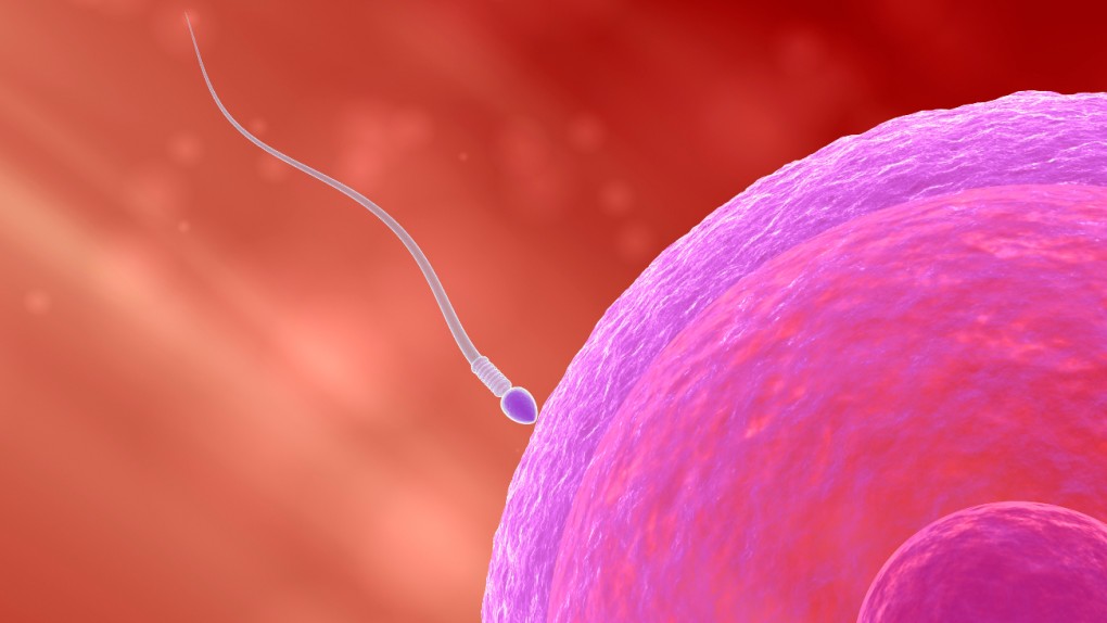 In vitro jest ostatnią deską ratunku, a naprotechnologia jest dużo wcześniej