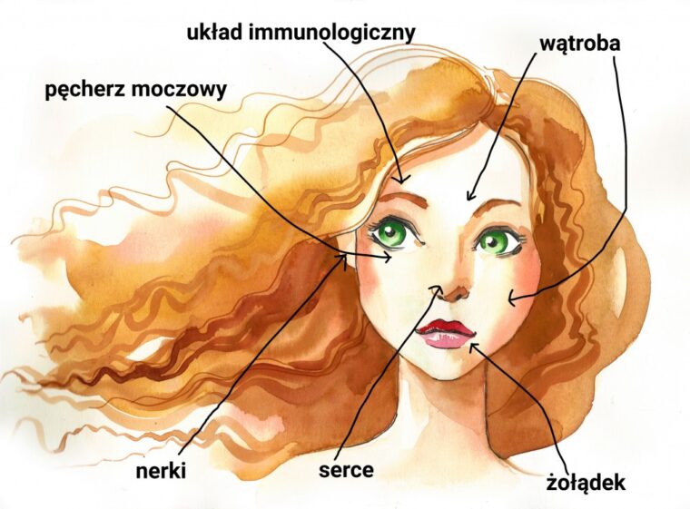 Trądzikowa Mapa Twarzy Ohme Magazyn Dla Kobiet 4505