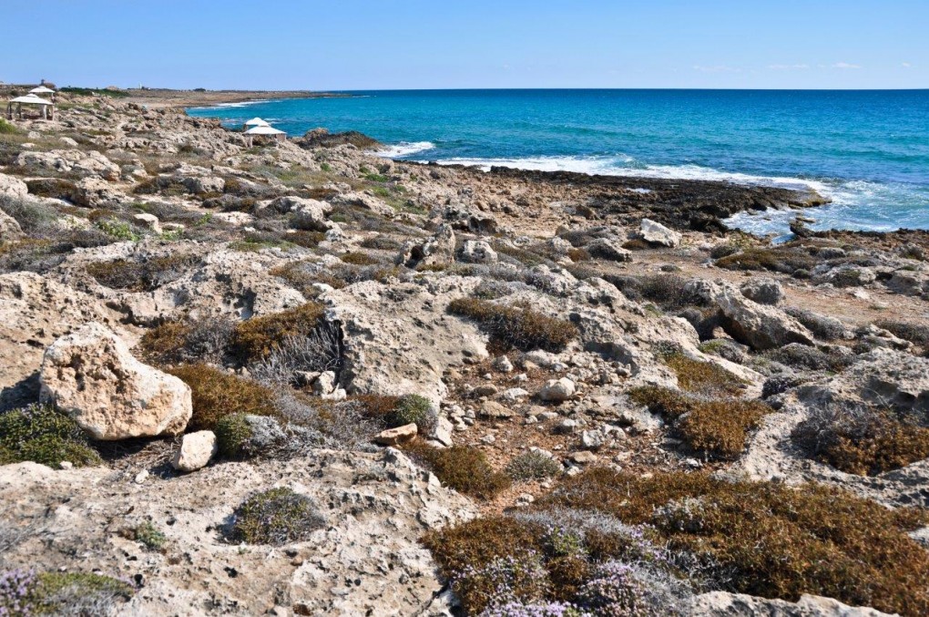 Cypr to jedna z najpiękniejszych wysp Morza Śródziemnego o łagodnym i ciepłym klimacie, nad którą niemal cały rok świeci słońce.