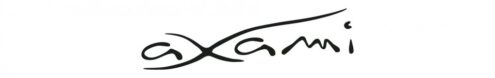 Logo Axami1