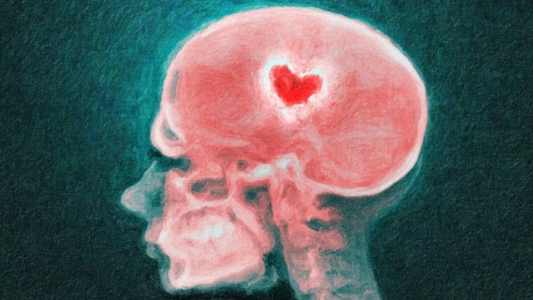 Anatomia Miłości Co Się Dzieje Z Twoim Mózgiem Kiedy Się Zakochasz Ohme Magazyn Dla Kobiet 4680