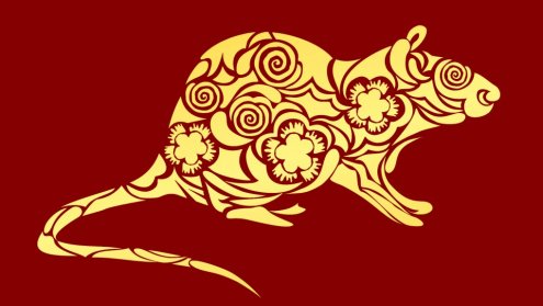 Horoskop chiński 2019 - Szczur w roku Świni