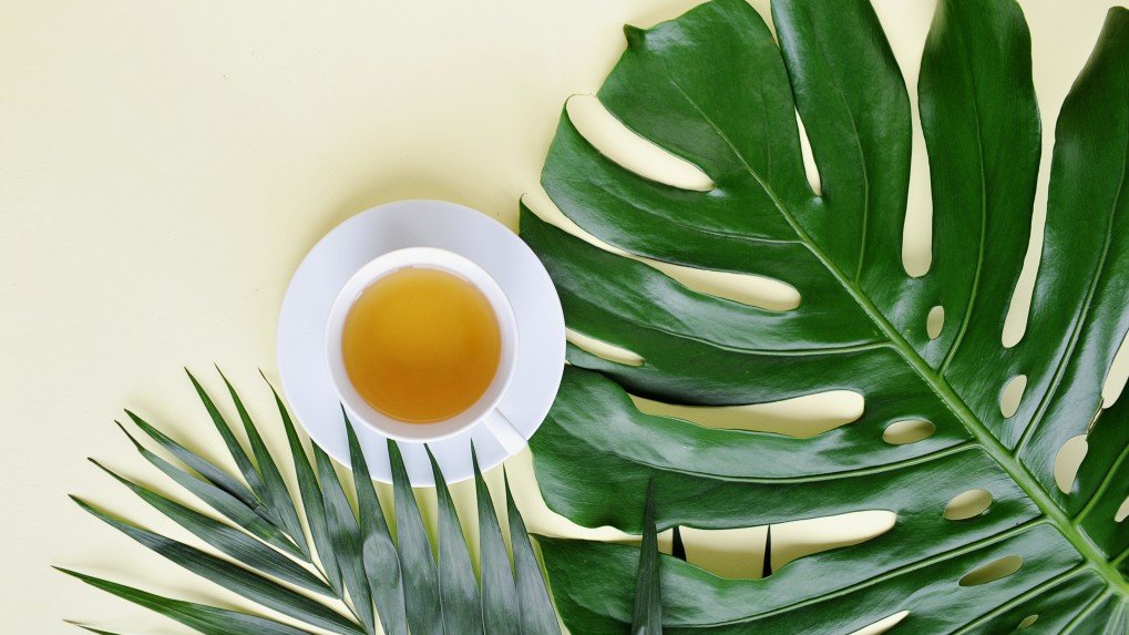Cold brew - herbata na zimno