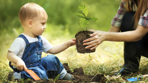 „Rośnijmy razem” – akcja sadzenia drzew z LITTLE STEPS®