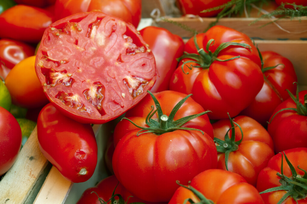 Pomidory - malinowe, koktajlowe, uprawa w gruncie i na balkonie