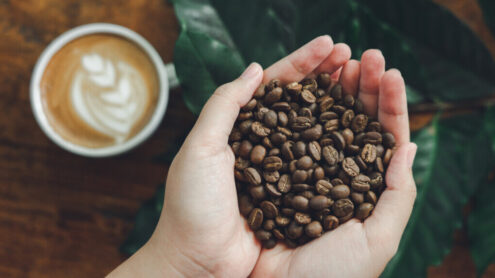 Kawa ziarnista - arabika, robusta, rodzaje i właściwości