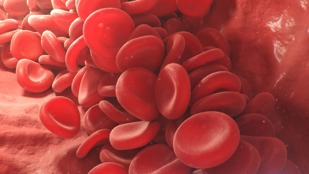 Morfologia (badania krwi) - co oznaczają skróty i jakie są normy