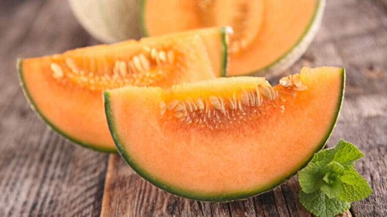 Melon - odmiany, właściwości, wykorzystanie