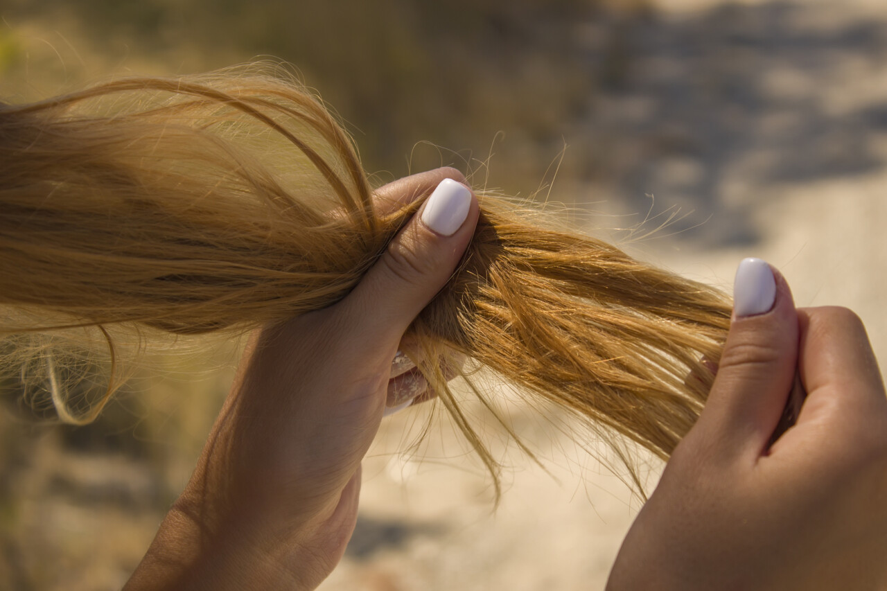 Włosy wysokoporowate - charakterystyka, pielęgnacja, oleje