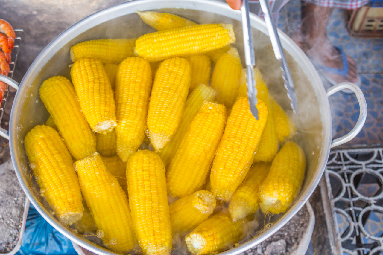 Gotowana kukurydza - przepis 