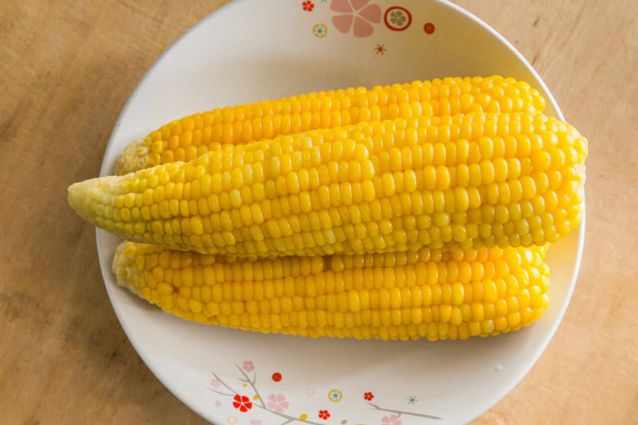 Gotowana kukurydza - przepis 