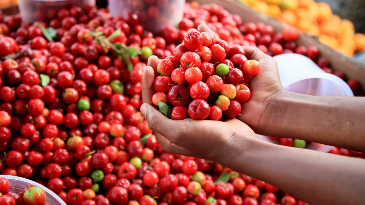Acerola