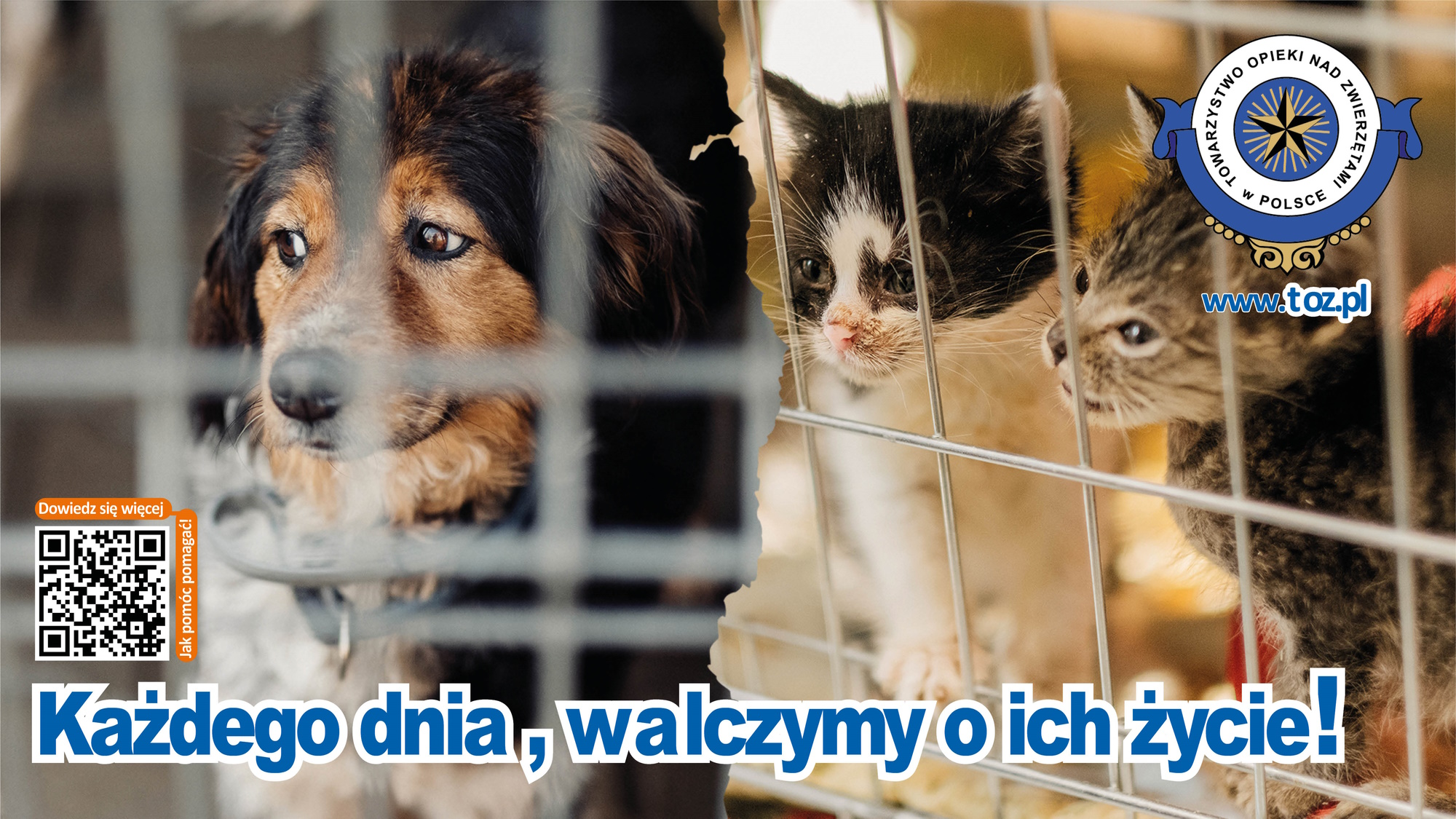 Towarzystwo Opieki nad Zwierzętami
