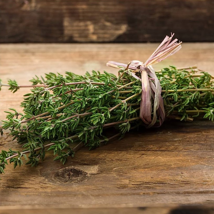 Tymianek na kaszel i ból gardła – czy warto go stosować?