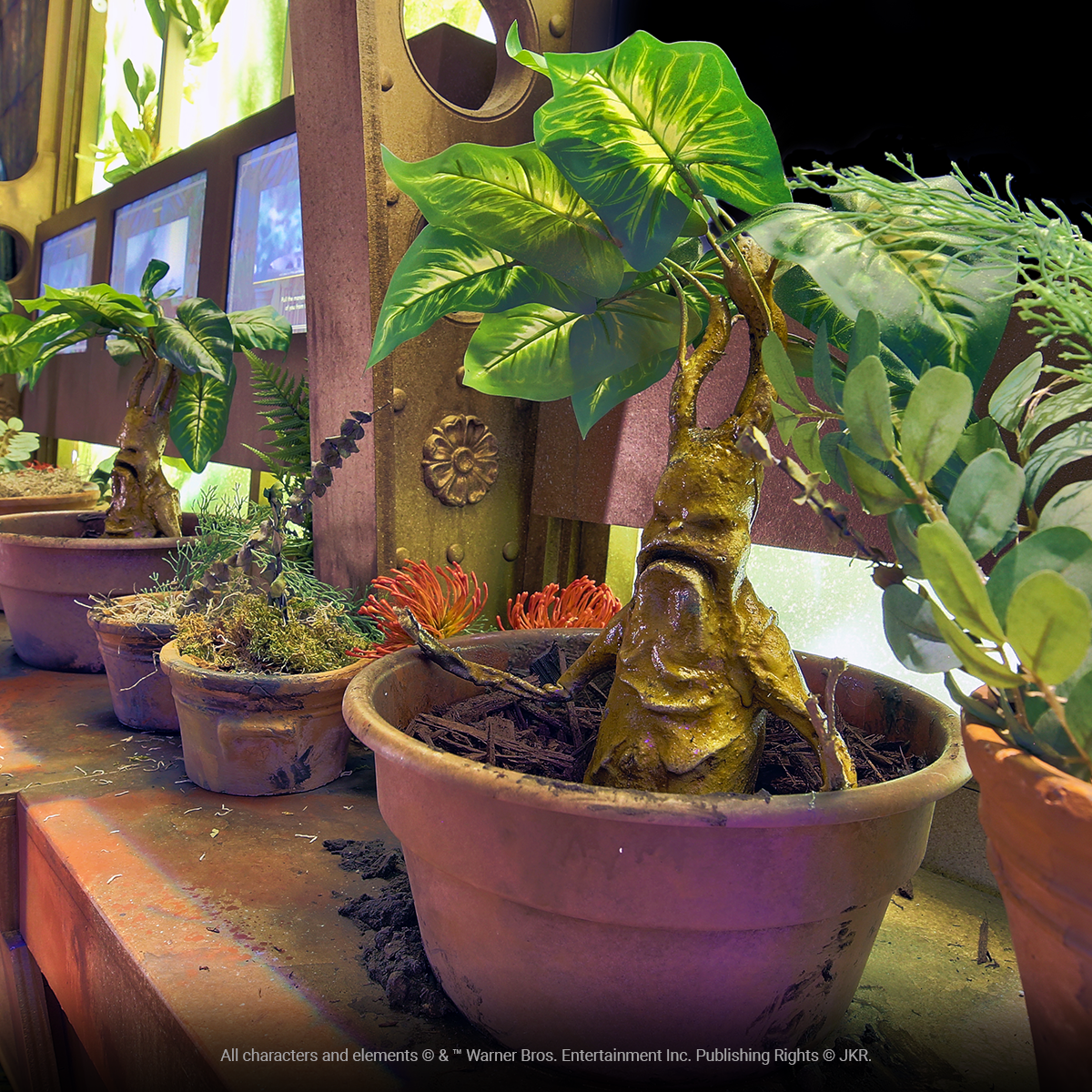 Wystawa Harry Potter: The Exhibition już otwarta w Alvernia Planet pod Krakowem